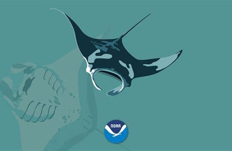 NOAA's National Ocean Service: Wallpaper