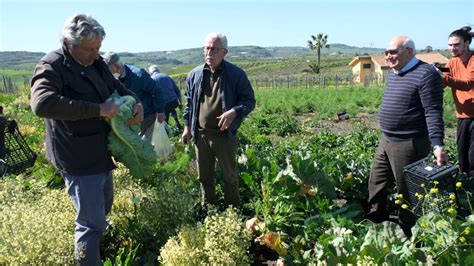 Dai Campi Alla Tavola Per Riscoprire La Natura E I Sapori Di Un Tempo