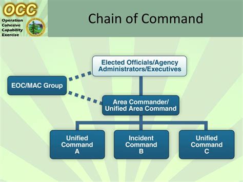 Nursing Chain Of Command Chart