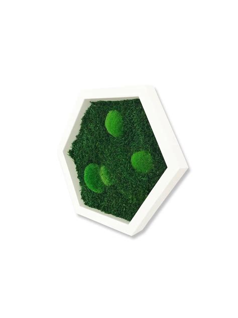 Hexagon Wald Und Kugelmoos X Cm Ingreen