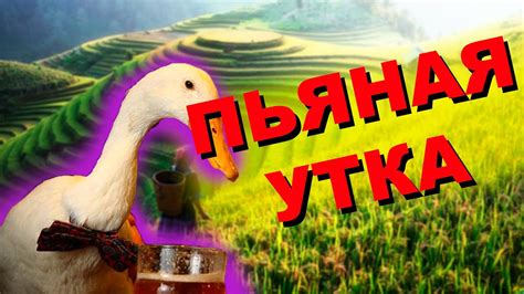 МУКА ИЗ КОНЬЯКА и ПЬЯНАЯ УТКА. ЧТО? - YouTube