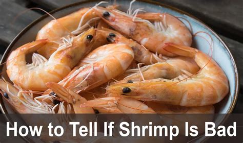 Is My Cooked Shrimp Still Good How To Tell If Shrimp Has Gone Bad