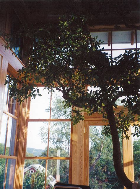 Triple Hung Windows with Motorized Awning Above — Hirschmann