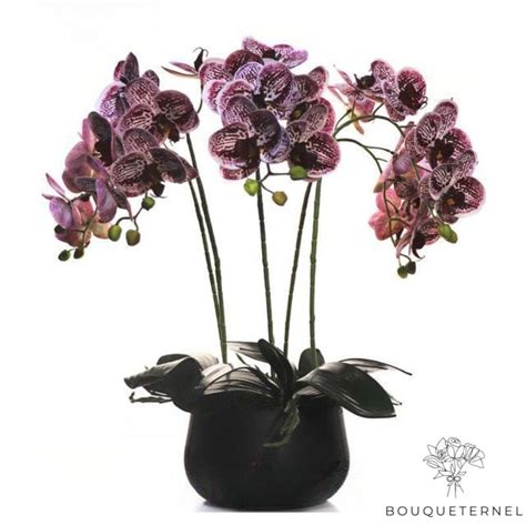 Orchidée Artificielle Pour Décoration Bouqueternel