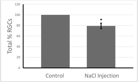 Figure 3 From Retinal Ganglion Cell Neuroprotection Induced By