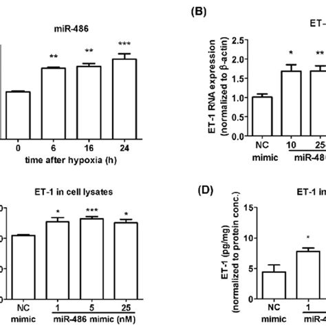 Mir 486 5p Increased The Expression And Secretion Of Et 1 In Hpasmcs Download Scientific