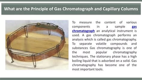 PPT - What are the Principle of Gas Chromatograph and Capillary Columns PowerPoint Presentation ...