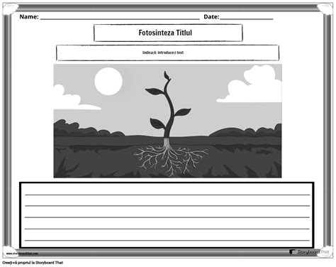 Fotografie Peisaj Bw1 Storyboard Par Ro Examples