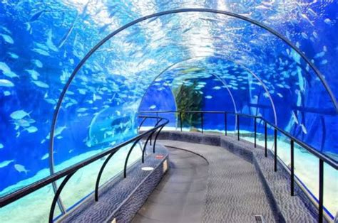 The Top 13 World S Largest Aquariums 2025 Best Aquariums