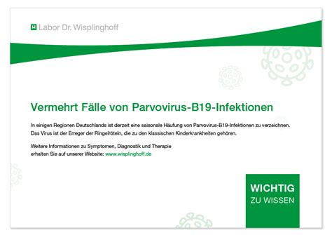 Parvovirus B19 Infektionen Labor Dr Wisplinghoff