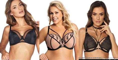 What Does A Full Figure Bra Mean The Lingerie Pro