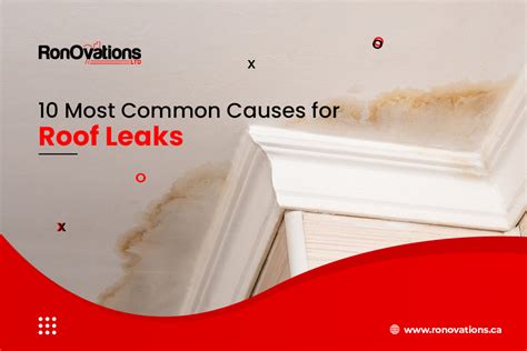 Most Common Causes For Roof Leaks Ronovations