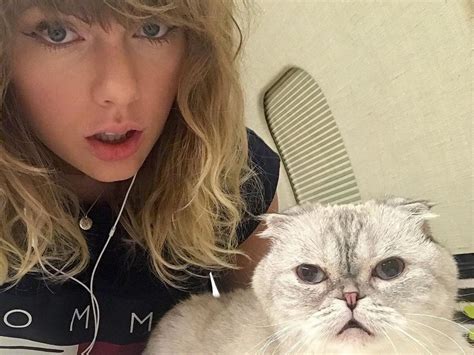 Taylor Swift’s cat is worth US$97M and richer than her boyfriend ...