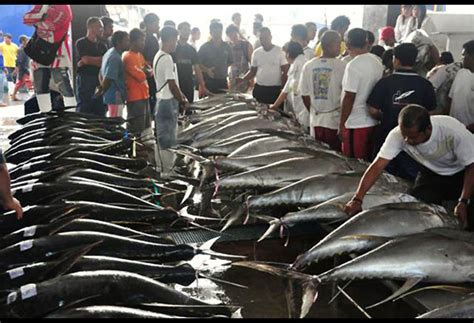 Mindanao Fishery Sector Needs Funding For Export Business News The