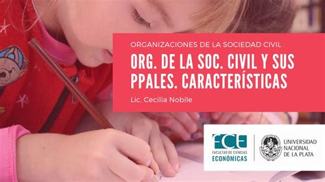 Organizaciones De La Sociedad Civil Y Sus Principales Características