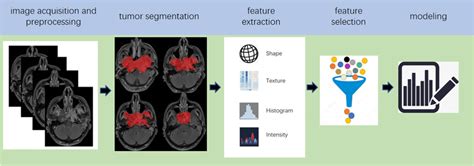 Five Steps Of The Pipeline Of Radiomics Download Scientific Diagram