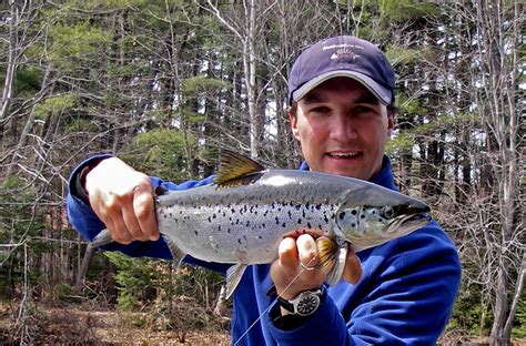 Maine Fly Fishing Trips: Experience Maine Fly Fishing Today! Maine ...