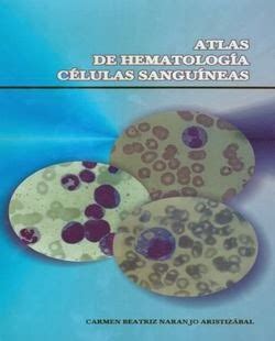 Atlas De Hematolog A C Lulas Sangu Neas Booksmedicos