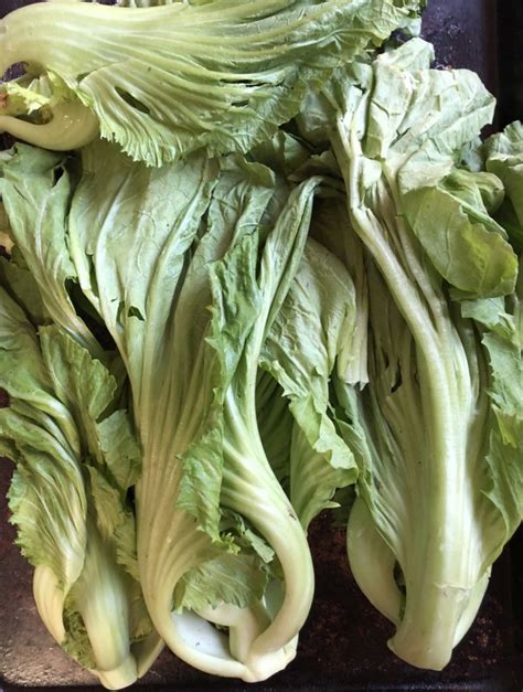 Fermented Chinese Mustard Greens Recipe Viet World Kitchen