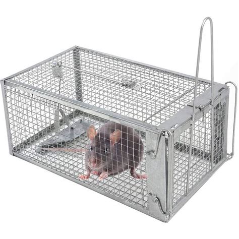 Piège à Souris Humain Pièges à Rat Cage Piège de Capture Cage Piege