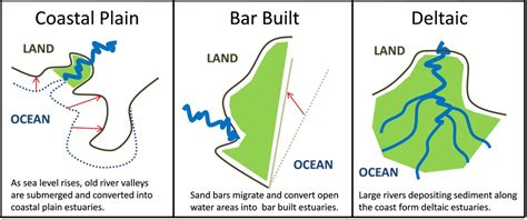 Coastal Plains Diagram