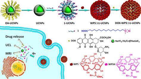 Smart Self Assembled Nanosystem Based On Water Soluble Pillararene And