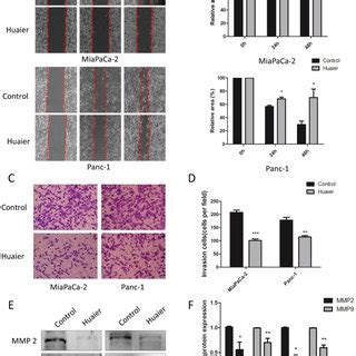 Huaier Extract Inhibits The Migration And Invasion Abilities Of