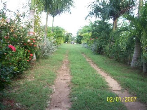 COSTA FINCA - Finca Raiz de Cartagena-Bolivar-Colombia: FINCA EN VIA ...