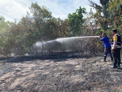 Lahan Gambut Di Aceh Besar Terbakar