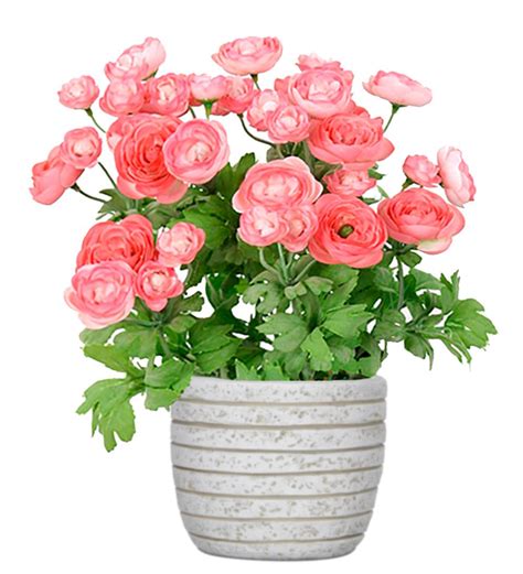 Renoncule Artificiel En Pot H 28 Cm 32 Fleurs Artificielles Lumineuses