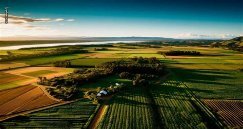 Agro paulista registra superávit de US 14 4 bilhões em oito meses