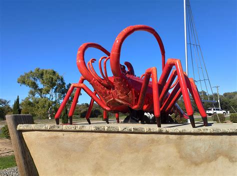 Big Western Rock Lobster This Travel Life