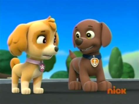 Zuma Skye Paw Patrol Relation Ship Wiki Fandom 59 Off