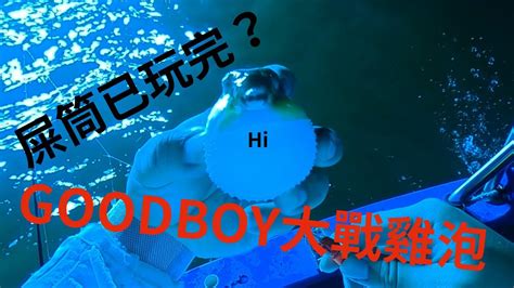 夜釣屎筒被雞泡偷襲 2024 釣行 屎筒 魷魚 香港釣魚 YouTube