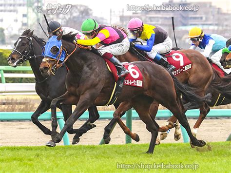 競馬ブックネットshop カラープリントアルミ枠付き2024年3月23日中山11r 日経賞シュトルーヴェ