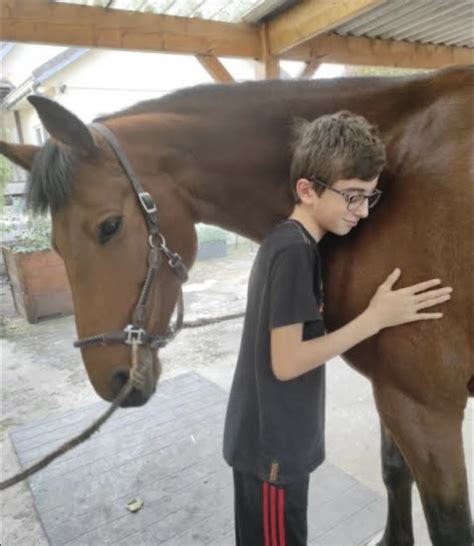 Éthologie comportement équin ChevalAnnonce