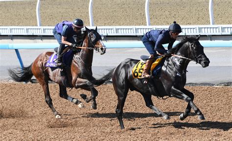 【宝塚記念】戸崎騎手「ローシャムパークでg1を」／一問一答 競馬写真ニュース 日刊スポーツ