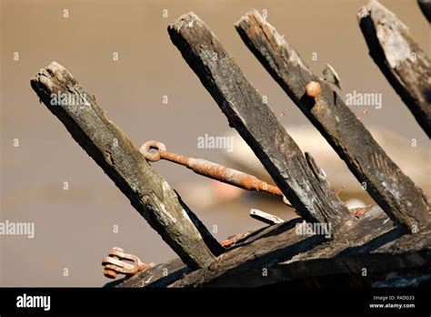 The skeletal remains of an old boat, now a shipwreck slowly decaying Stock Photo - Alamy