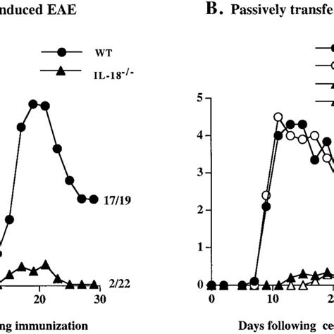 IL 18 Mice Are Resistant To MOG 35 55 Peptide Induced EAE A Mice