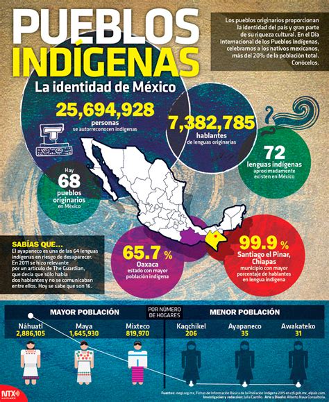 Hoy Tamaulipas Infografía Pueblos indígenas la identidad de México