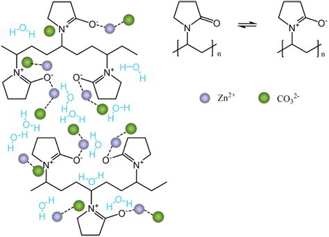 Proposed Scheme Of The Interactions Between PVP And The Precursor Ions