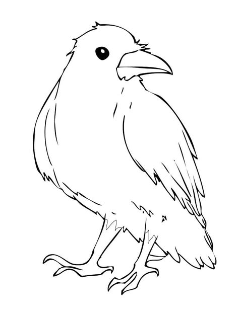 Coloring Pages Crow