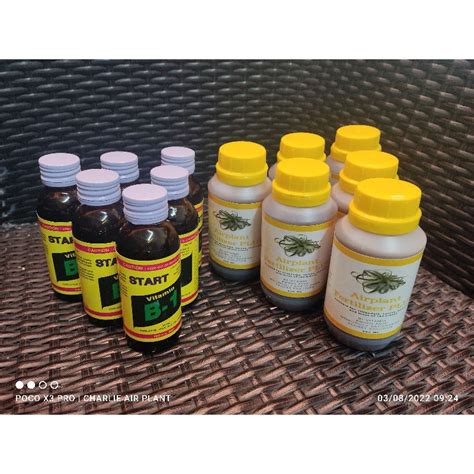 Baja Siam Vitamin B1 Penggalak Akar B1 100ml 1 Bottle Fertilizer