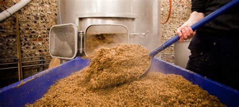 Beer and sustainable farming: How brewing waste can disinfect soil and increase yields - Genetic ...