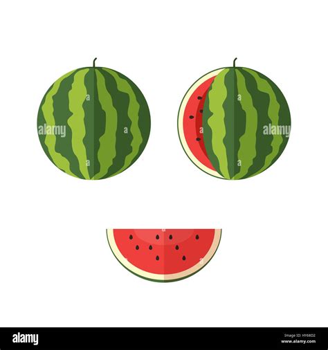 Melon And Watermelon Stock Vector Images Alamy