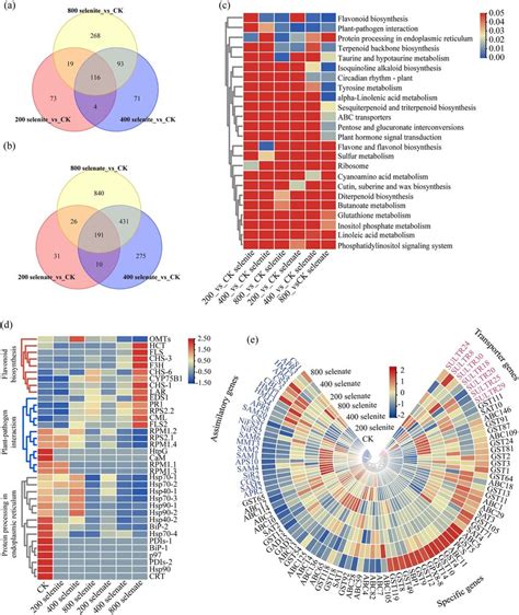 Differentially Expressed Genes Identification And Characterization A