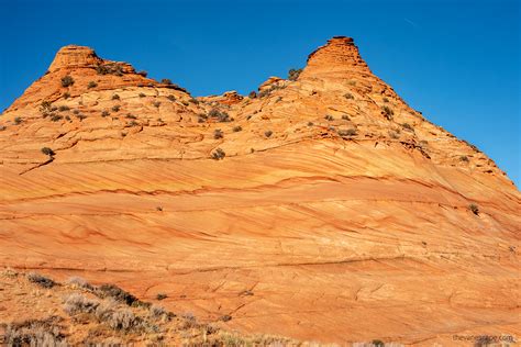 Coyote Buttes South Hike The Wave Alternative