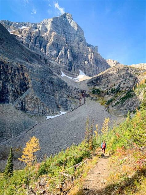 22 Amazing Larch Hikes In Alberta Travel Banff Canada