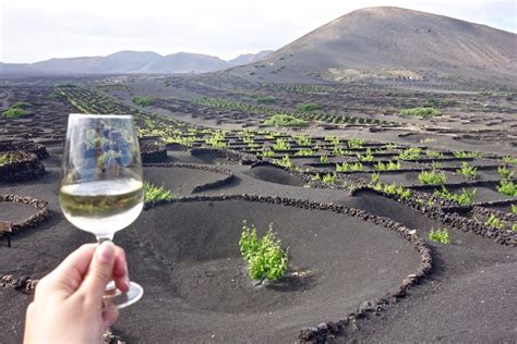 Tour Del Vino A Lanzarote Scoprire La Geria Con Wine Tours Lanzarote