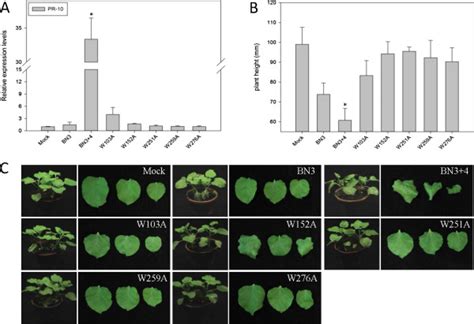 Pr Expression And Phenotypes Of Nicotiana Benthamiana Plants